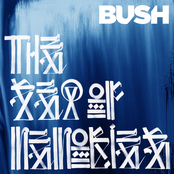 I Believe In You by Bush