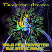 Wild Fire Revisited (Eat Static Remix 2010)