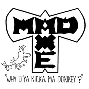 Why'd Ya Kicka Ma Donkey