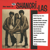 the best of the shangri-las