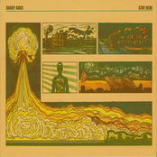 Shady Oaks: Stay Here