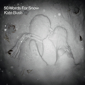 50 Words For Snow by Kate Bush