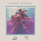 Sleep Signal