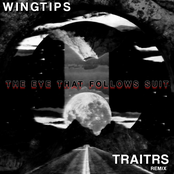 The Eye That Follows Suit (TRAITRS remix)