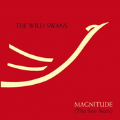 Immaculate by The Wild Swans