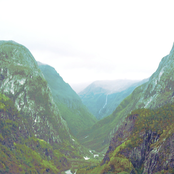 A Fortress In The Trees