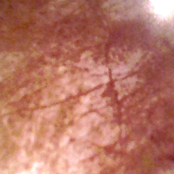 Dance With Me Upon His Secret Ocean