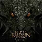 Leaving The Mortal Flesh by Keep Of Kalessin