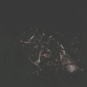 Invoke Thy Wrath: Forced