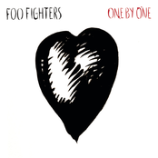 Foo Fighters: One by One