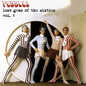 Johnny Echols: Pebbles: Lost Gems of the 60s, Vol. 4