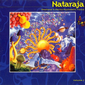 Nataraja 2