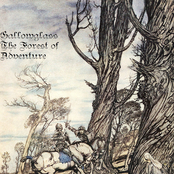The Forest of Adventure