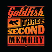 Goldfish: Three Second Memory