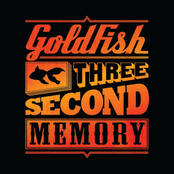 three second memory