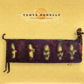 The Promise by Tanya Donelly