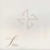 勿忘草 by Rice