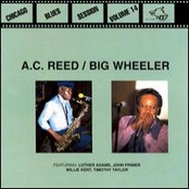 Chicago Blues Session, Vol. 14