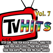 TV Hits Vol. 7