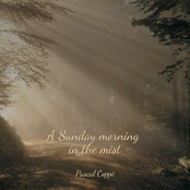 A Sunday morning in the mist