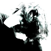 Tudo é Sobre Jadeite