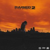 Raised In The Streets 2