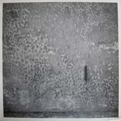 6 Standing Desert / Hasn't (1-5)