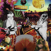 Shake That Thing/Hover Fly