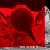 Music for quiet places