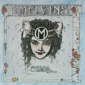 Ever Since My Accident by Melvins