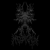 NOBRAIN