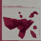 DJ Teebee & K Present: The Deeper Side Of Drum & Bass