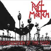 Leather Bitch by Post Mortem
