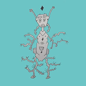 insectos & parásitos