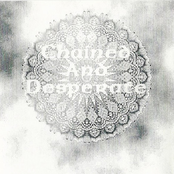 Oracles From The Neitherworld