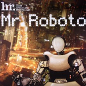 Mr. Roboto