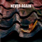 Never Again