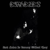 Dead Nature for Humans Without Tears