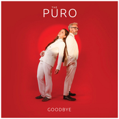 Goodbye - Single