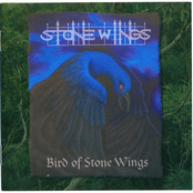 Bird  of Stone Wings