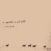 An Apparition in Pale Fields