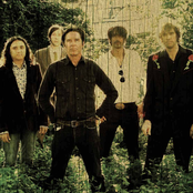 john doe and the sadies