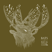 The Cruel Sea by Bats