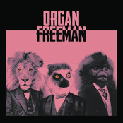 Organ Freeman: Organ Freeman