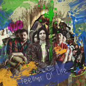 Feelings of Life