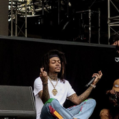 The... Directors Cut