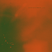 Harvestmen (live)