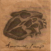 4 Cavidades, 1 Coração