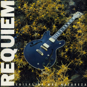 Coisas Da Mãe Natureza