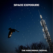 The Subliminal Serval